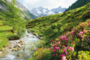 Alps - Nature and Mountains